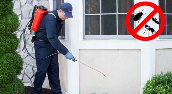 Ataşehir Böcek İlaçlama böcek ilaçlama ve haşere kontrolü — ilaclama-tr.com